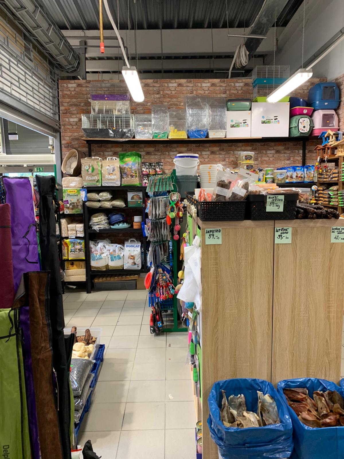 Galerie – prodejna a vybavení